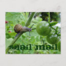 Recherche de courrier drôle cartes postales Escargot