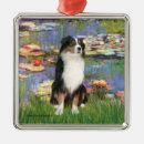 Search for australian shepherd ornaments Pets