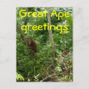 Recherche de grande singe cartes postales Nature