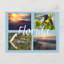 Recherche de wildlife posters Beach
