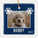 Search for blue ornaments Snowflakes