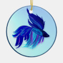Search for siamese ornaments Pets