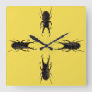Recherche de tiges horloges Nature