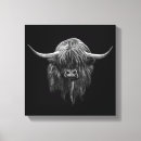Search for highland cow canvas prints Scotland