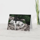 Recherche de loup noir vœux cartes Animaux