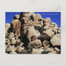 Search for joshua tree national park postcards Palm springs