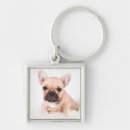 Search for white bulldog keychains Domestic animals