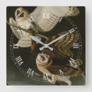 Search for owl wall Picture