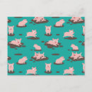 Recherche de porcelets cartes postales Animaux