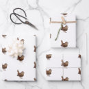 Search for bird lover wrapping paper Ornithology