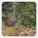 Search for alaska wildlife stickers Bird