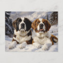 Recherche de st bernard cartes postales Hiver