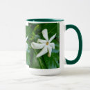Search for gardenias mugs Botanical
