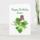 Recherche de oiseaux chanteurs Moineaux