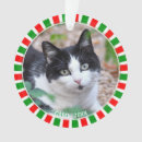 Search for cat in frame ornaments Pet