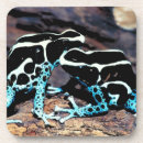 Search for two sided coasters Wildlife