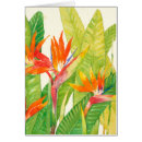 Search for birds paradise postcards Foliage