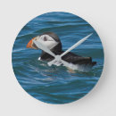 Recherche de puffin horloges Bouffon