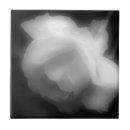 Recherche de fleurs roses carreaux Mother