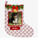 Recherche de dog christmas stockings Nom