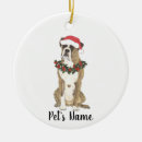 Search for boxer ornaments Brindle