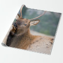 Search for elk wrapping paper Mountain