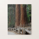 Recherche de nature photography puzzles Travel