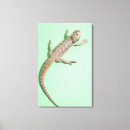Search for viewpoint art Animal