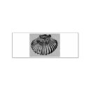Search for shell rubber stamps Scallop