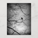 Recherche de crow cartes postales Black