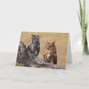 Search for screech cards Eastern screech owl