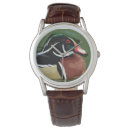 Search for duck watches Waterfowl