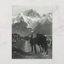 Recherche de jungfrau cartes postales Montagnes