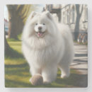 Search for buddy coasters Cute