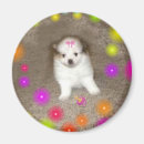 Recherche de domestiqué magnets Mignon