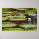 Search for mauritius posters Travel