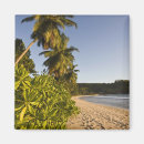 Recherche de mahe magnets Voyage