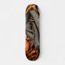 Recherche de reptile comp skateboards Noir