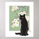 Search for fluer Black