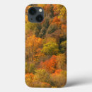 Search for fall foliage cases Orange