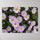 Search for purple and light posters Bright
