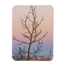 Search for bare magnets Blue