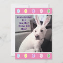 Recherche de oreilles de lapin invitations Enfants