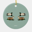 Search for mallard duck ornaments Water