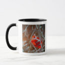 Search for high seas mugs Nature