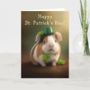 Search for guinea pig cards Animal lover