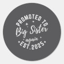 Search for big sister to be stickers Pregnancy