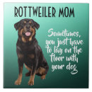 Recherche de rottweiler carreaux Dog