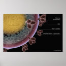 Recherche de sida posters Virus