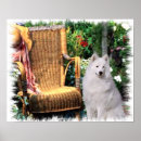 Search for samoyed art Cute